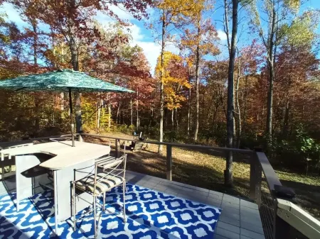 Quiet retreat in the Daniel Boone National Forest, near the Red River Gorge.