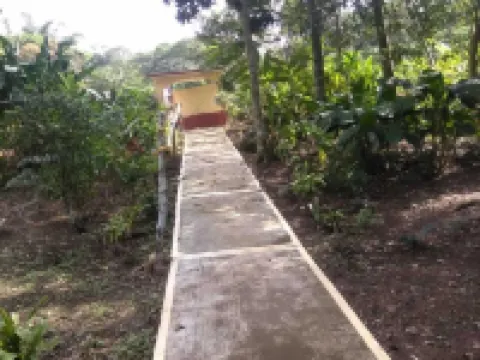 Nice House Natural Hoteles en Catemaco