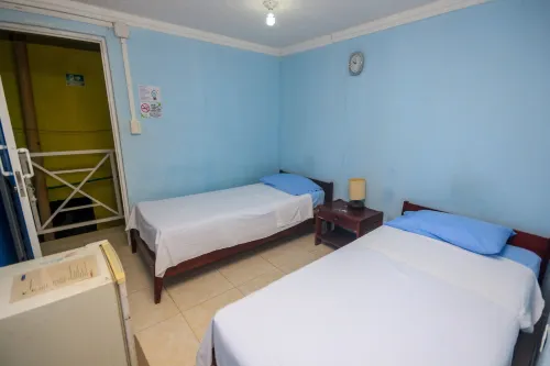 알로하미엔토 컬처럴 데르마스 인