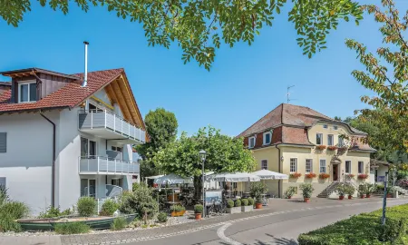 Gasthaus Schiff Отели в г. Радольфцелль