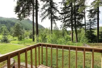 Pine River Ranch B&B - Mountain view