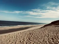 Eagle Wing Inn - Cape Cod Hotéis em Eastham