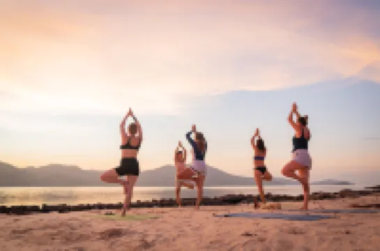 Isla - ประสบการณ์ที่ Isla