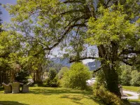Studio Esche 1 Hotels near Ellmi's Zauberwelt