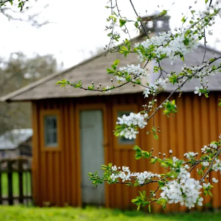 Nästegården Bed & Breakfast