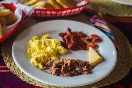 Cohune Palms River Cabanas