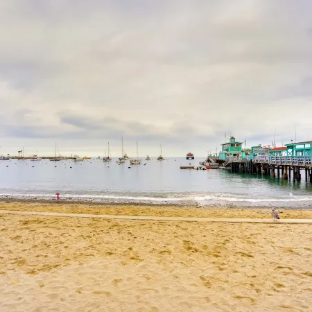 Tropical Island Escape w/ Deck, Walk to Avalon Bay