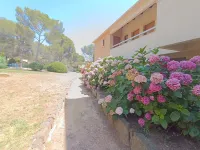 Pinède Mer et Soleil