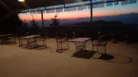 Pinaceae Resort