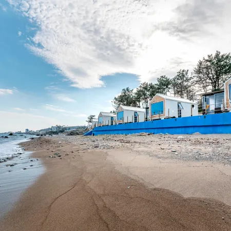 Pohang Blooming Caravan