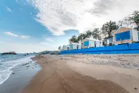Pohang Blooming Caravan