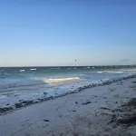 Tranquil Beachfront Apartment in Uroa, Tanzania Hotels in Uroa