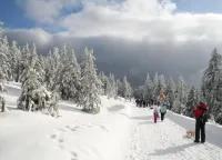 Flucht Ins Herz Von Elend