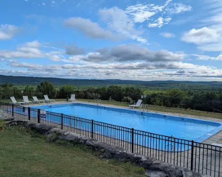 Blue Bear Inn Hotels in Hillsborough County