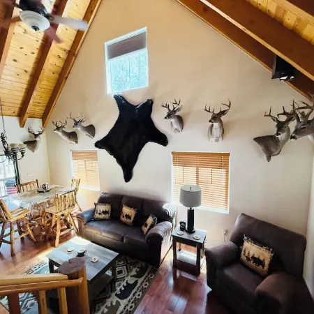 Come Get Cozy in The Coues Cabin