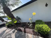 PARADISE BUNGALOW IN HUNTINGTON BEACH