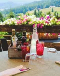 Hotel des Alpes - Haustierfreundliche