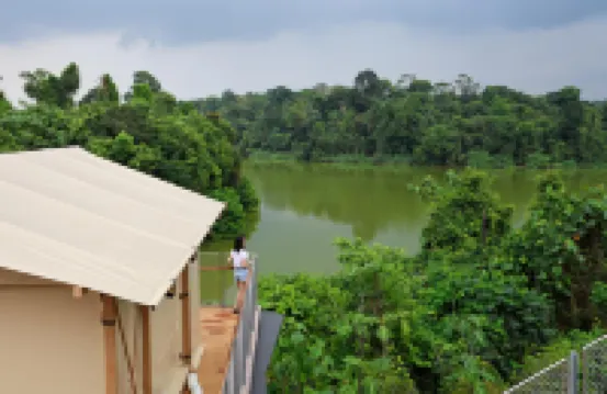 Colugo Camp, Mandai Wildlife EAST