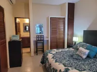 1 Bedroom Condo with Incredible Ocean View in Nayarit Jungle #404