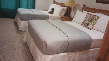 Cozy 1-bedroom condo in charming Driggs with WiFi