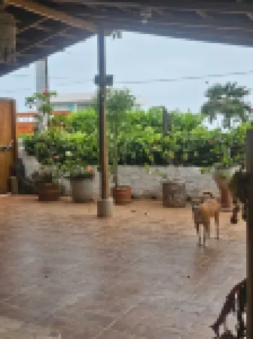 Charming 2-bedroom house with WiFi, AC in Dibulla, ocean view.