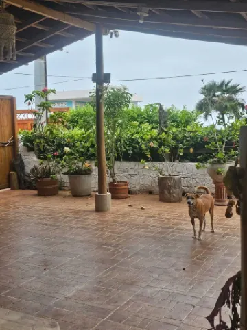 Charming 2-bedroom house with WiFi, AC in Dibulla, ocean view.