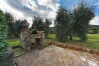 Cozy country house surrounded by olive trees. Hotels in Gavorrano