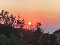 The sea the scrub the silence Hotels in Coti-Chiavari