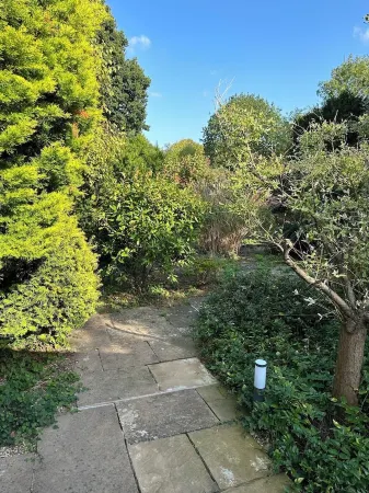 Apple-tree lodge in secure gated garden Отели в г. Тонтон Дин Дистрикт