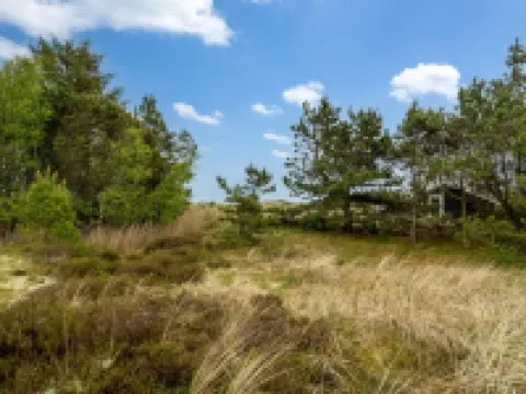 "Kimi" - 75m from the sea