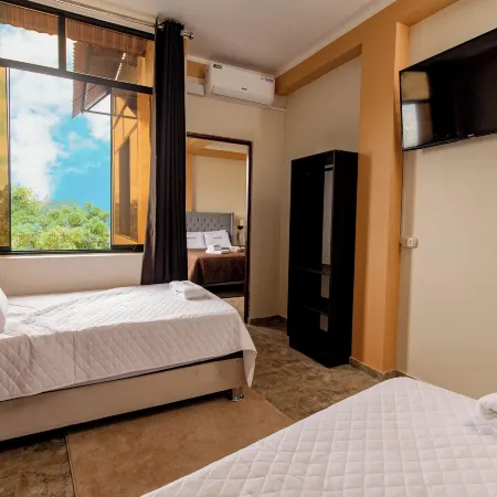 Sonqu Tarapoto