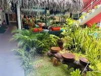 Chalé Murici Lençóis Hotels in 