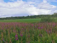 4 Person Holiday Home in Norre Nebel