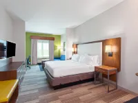 هوليداي إن إكسبرس آند سويتس هيوستن اس - ميديكال س رر أريا باي آيتش جي Hotels near إن آر جي بارك