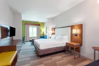 Holiday Inn Express & Suites HOUSTON S - MEDICAL CTR AREA by IHG