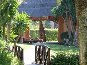 The Oasis by Don Carlos Resort