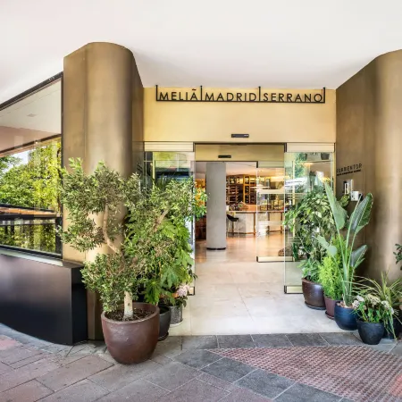 Melia Madrid Serrano