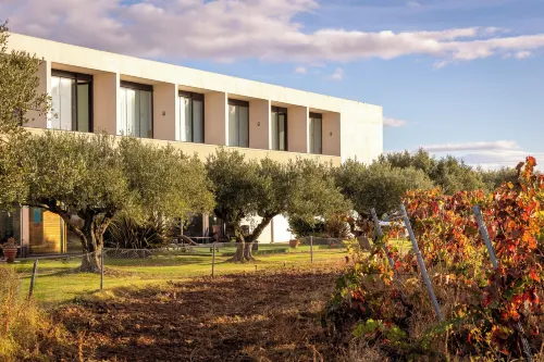 Hotel-Bodega Finca de Los Arandinos