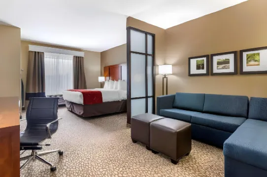 Comfort Suites Florence I-95