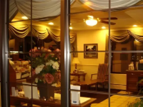 콜로니 인 앤드 스위트