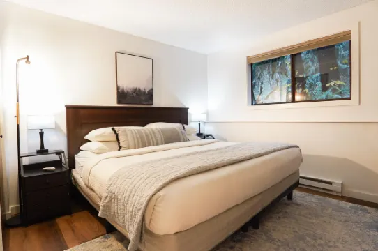 Modern Interior and Gas Fireplace - Cozy Mountain Retreat