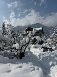 Palzey - A Boutique Cottage - Homestays