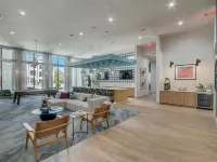 Landing Apartments - Montgomery, TX