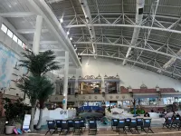 Phoenix Hotel Pyeongchang - Pools