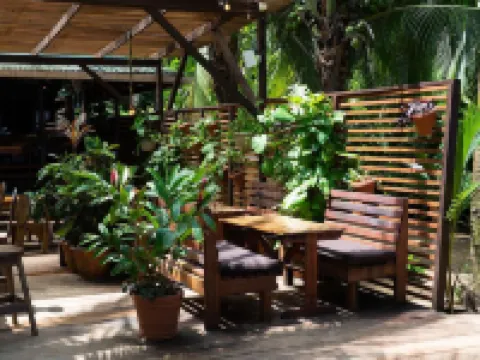 Palmar Beach Lodge Hotels in 