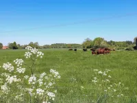 Holmhurst - Homestays
