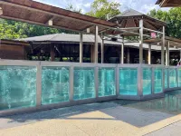 Pei Kong Creek Resort - spa