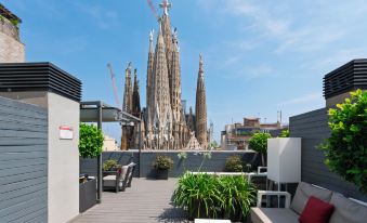 Sensation Sagrada Familia