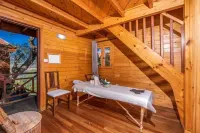 Chalets & SPA à l'eau thermale - spa