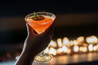 希爾頓逸林酒店 新奧爾良市中心 - 酒吧